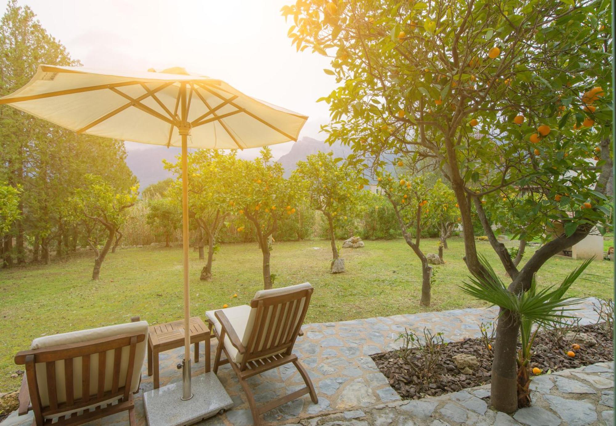 Finca Can Coll Boutique Country House - Adults Only Sóller Extérieur photo